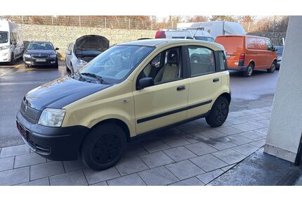 Fiat Panda Gebrauchtwagen