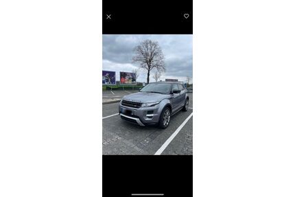 Land Rover Range Rover Evoque Gebrauchtwagen