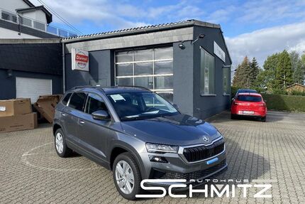 Skoda Karoq Gebrauchtwagen