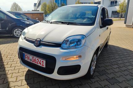Fiat Panda Gebrauchtwagen