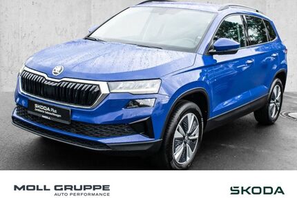 Skoda Karoq Gebrauchtwagen