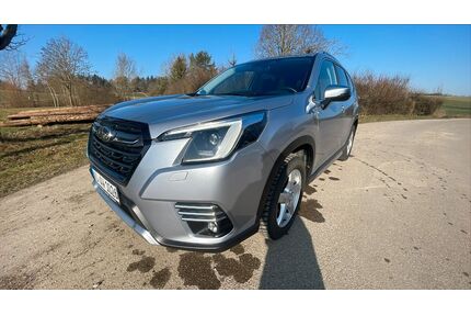 Subaru Forester Gebrauchtwagen