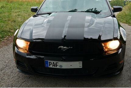 Ford Mustang Gebrauchtwagen