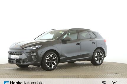 Cupra Terramar Gebrauchtwagen