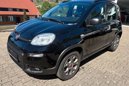 Fiat Panda Gebrauchtwagen