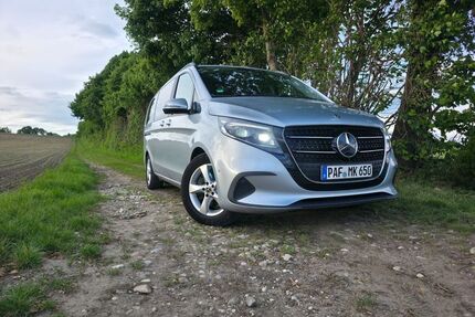 Mercedes-Benz V 300 Gebrauchtwagen