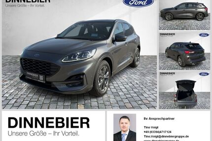 Ford Kuga Gebrauchtwagen