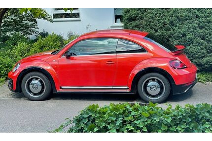 VW Beetle Gebrauchtwagen