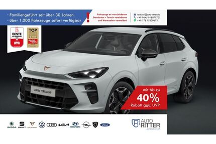 Cupra Terramar Gebrauchtwagen