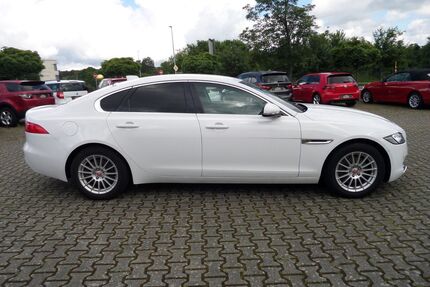 Jaguar XF Gebrauchtwagen