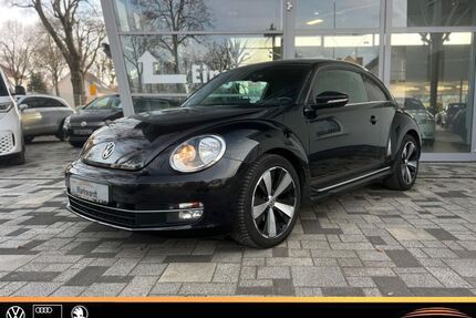 VW Beetle Gebrauchtwagen
