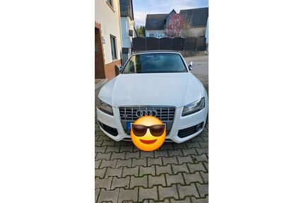 Audi S5 Gebrauchtwagen