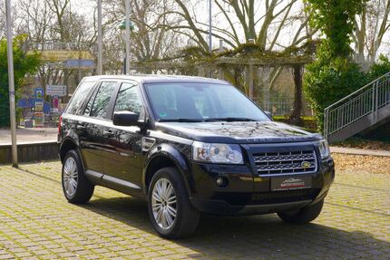 Land Rover Freelander Gebrauchtwagen