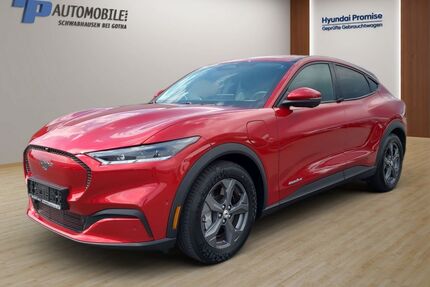 Ford Mustang Mach-E Gebrauchtwagen