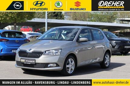 Skoda Fabia Gebrauchtwagen