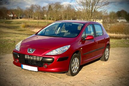 Peugeot 307 Gebrauchtwagen