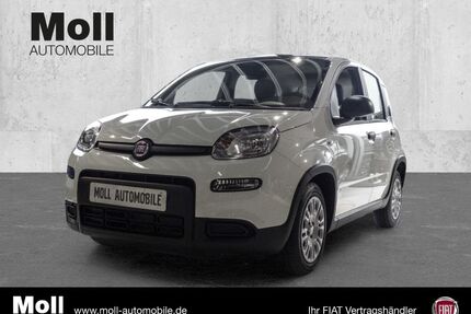 Fiat Panda Gebrauchtwagen
