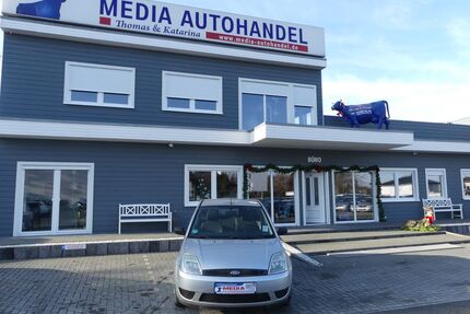 Ford Fiesta Gebrauchtwagen