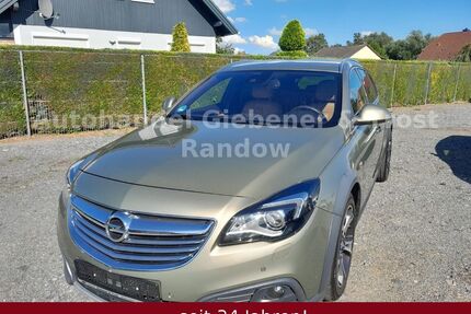 Opel Insignia Gebrauchtwagen