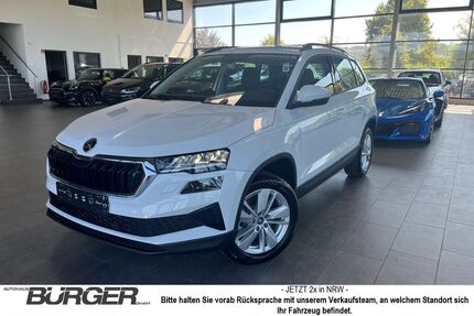 Skoda Karoq Gebrauchtwagen