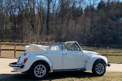 VW Käfer Gebrauchtwagen