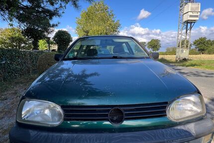VW Golf Gebrauchtwagen