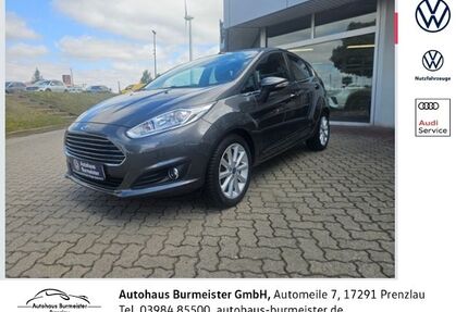 Ford Fiesta Gebrauchtwagen