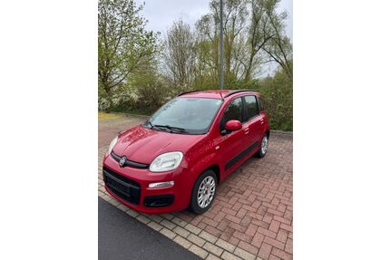Fiat Panda Gebrauchtwagen