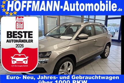 Skoda Karoq Gebrauchtwagen