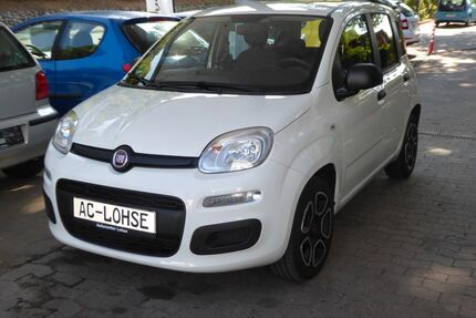 Fiat New Panda Gebrauchtwagen
