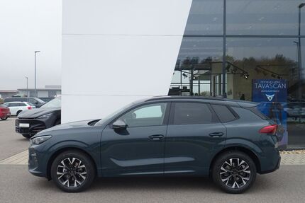 Cupra Terramar Gebrauchtwagen