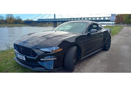 Ford Mustang Gebrauchtwagen