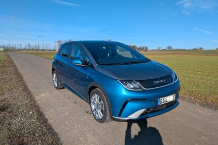 BYD DOLPHIN Gebrauchtwagen
