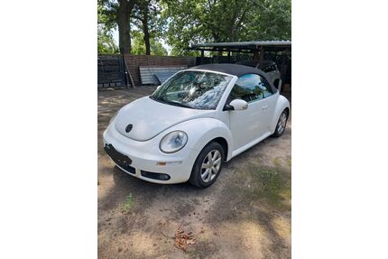 VW Beetle Gebrauchtwagen