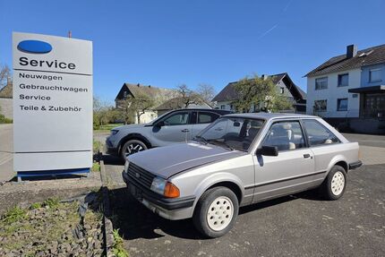 Ford Escort Gebrauchtwagen