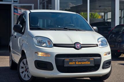 Fiat Panda Gebrauchtwagen