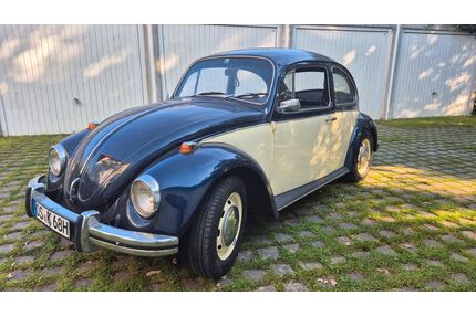 VW Käfer Gebrauchtwagen