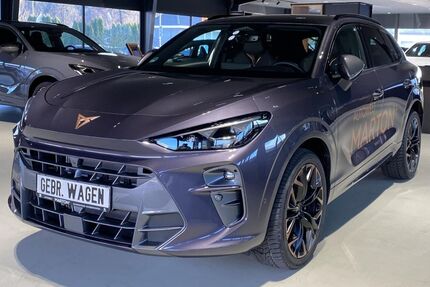 Cupra Terramar Gebrauchtwagen