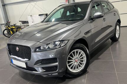 Jaguar F-Pace Gebrauchtwagen