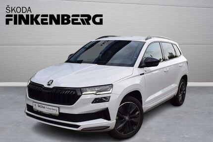 Skoda Karoq Gebrauchtwagen