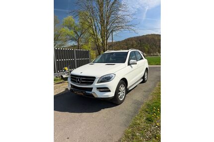 Mercedes-Benz ML 250 Gebrauchtwagen
