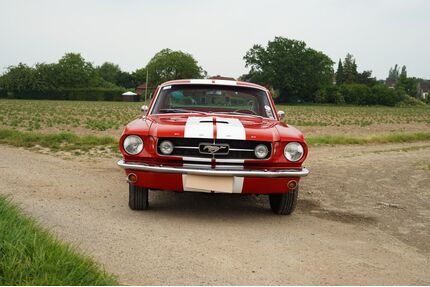 Ford Mustang Gebrauchtwagen