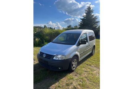 VW Caddy Gebrauchtwagen