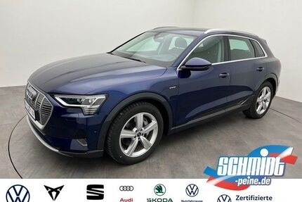 Audi e-tron Gebrauchtwagen