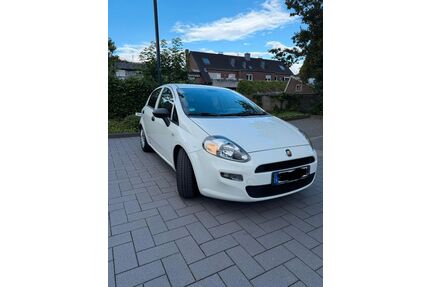 Fiat Punto Gebrauchtwagen