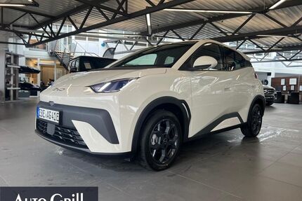 BYD DOLPHIN Gebrauchtwagen
