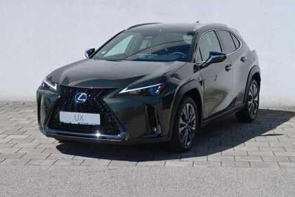 Lexus UX Gebrauchtwagen