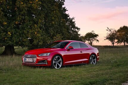 Audi S5 Gebrauchtwagen