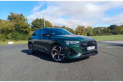 Audi Q8 e-tron Gebrauchtwagen