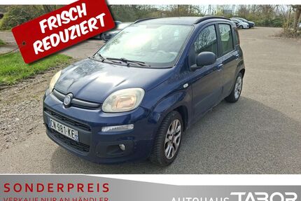 Fiat Panda Gebrauchtwagen